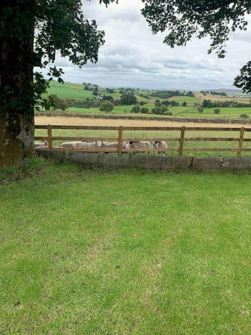 Willa Ivy House Farm, Near Longnor Longnor  Zewnętrze zdjęcie